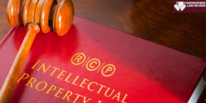LONG ARTICLE- INTELLECTUAL PROPERTY LAW