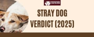 CASE COMMENTARY: STRAY DOG VERDICT (2025)